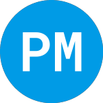 PMAX logo