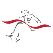 Logo of Matador Mining (MZZ).