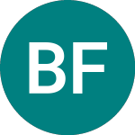 Logo of Bhp Fin.33 (17YJ).