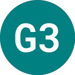 Logo of Granite 3l Tsla (3LTP).