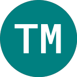Logo of Tin Micro (67FO).