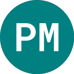 Logo of Perm Mast 1 42 (77YN).