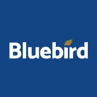 Bluebird Mining Ventures Ltd