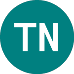 Logo of  (TNSA).
