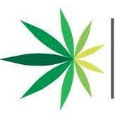 Logo of American Cannabis (QB) (AMMJ).