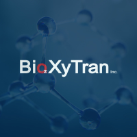 Bioxytran (PK) Stock Price