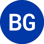 Logo of Bird Global (BRDS).