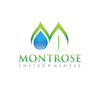 Montrose Environmental Stock Chart