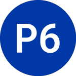 Logo of  (PLD-P.CL).