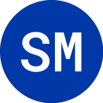 Logo of  (SNB).