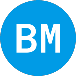 Logo of BNY Mellon Womens Opport... (BKWO).